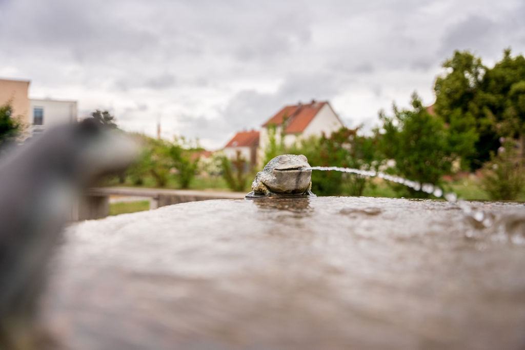 Penzlin-Brunnen-Frosch